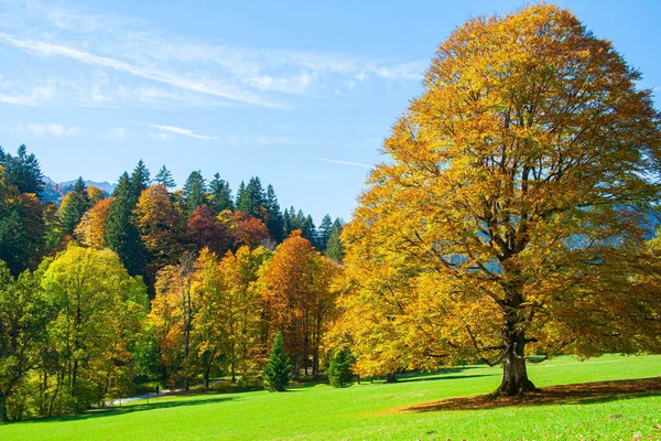 Słoneczny Jesienny Dzień Alpach Bawarskich Południowe Niemcy — Zdjęcie stockowe