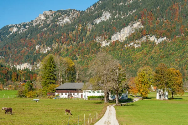 Giornata Autunnale Soleggiata Nelle Alpi Bavaresi Germania Meridionale — Foto Stock