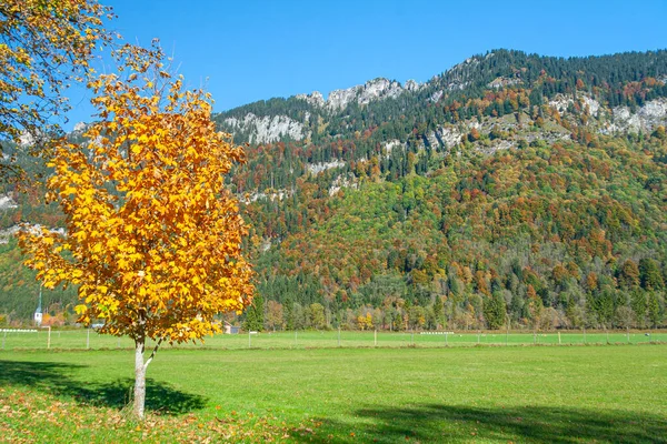 Journée Ensoleillée Automne Dans Les Alpes Bavaroises Allemagne Sud — Photo