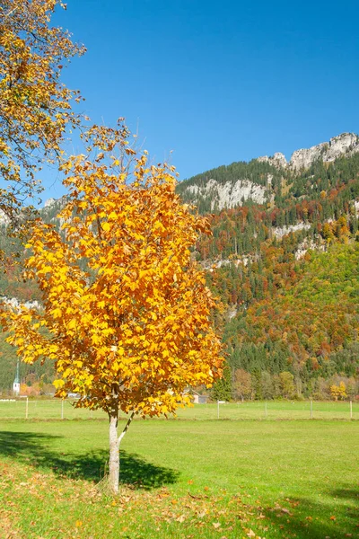 Solig Höstdag Bayerska Alperna Södra Tyskland — Stockfoto