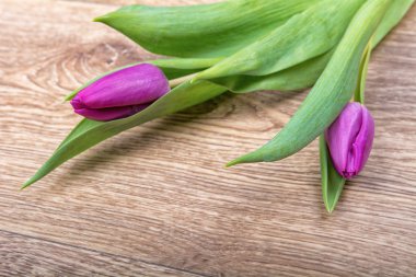 Ahşap arka plan üzerinde mor laleler