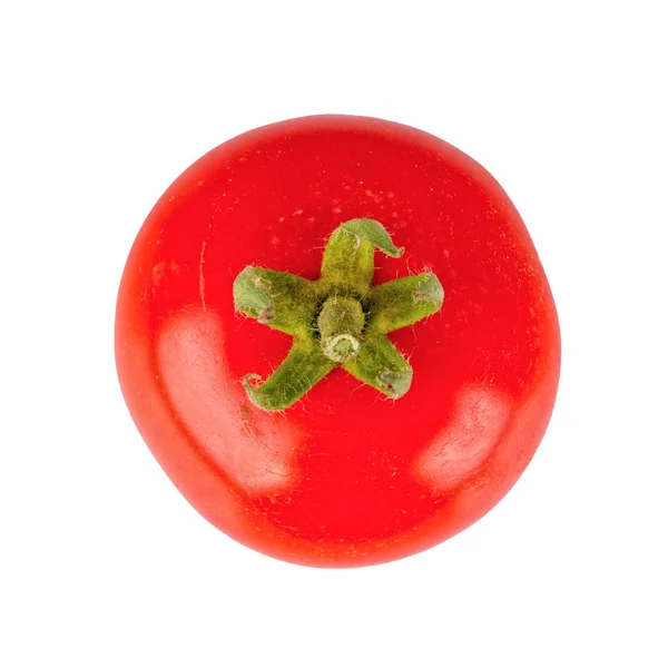 Tomate rouge sur fond blanc — Photo