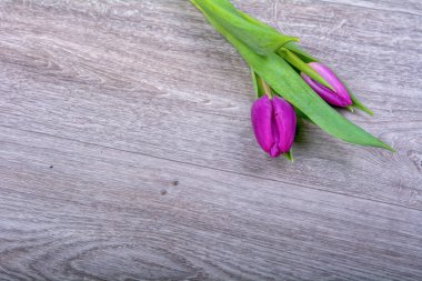 Ahşap arka plan üzerinde mor laleler