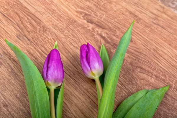 Ahşap arka plan üzerinde mor laleler