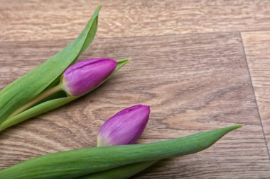 Ahşap arka plan üzerinde mor laleler