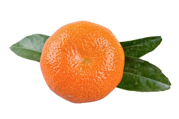 Mandarino con foglie su sfondo bianco — Foto Stock