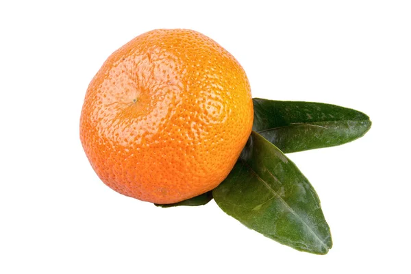 Mandarine mit Blättern auf weißem Hintergrund — Stockfoto