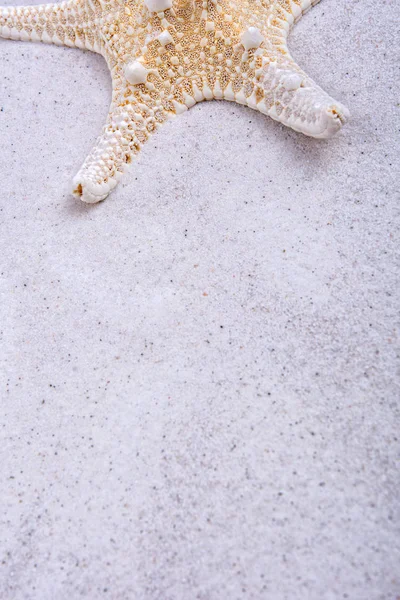 Estrela branca em um fundo de areia — Fotografia de Stock