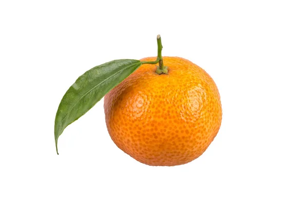 Mandarina con hojas sobre fondo blanco — Foto de Stock