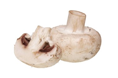 Beyaz bir arka plan üzerinde sebze champignon mantar