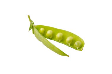Beyaz zemin üzerine yeşil bezelye (Pisum sativum)