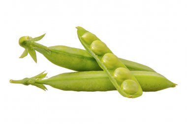 Beyaz zemin üzerine yeşil bezelye (Pisum sativum)