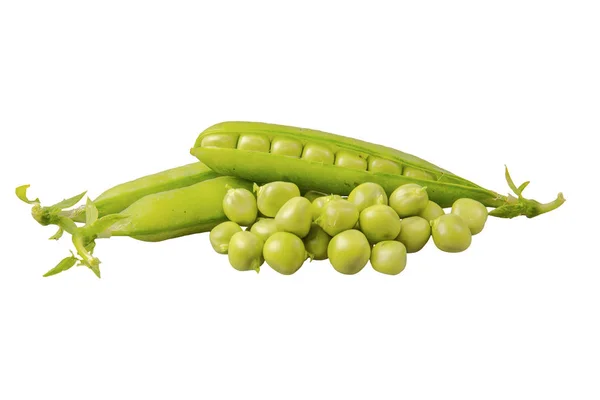 Grüne Erbse (pisum sativum) auf weißem Hintergrund — Stockfoto