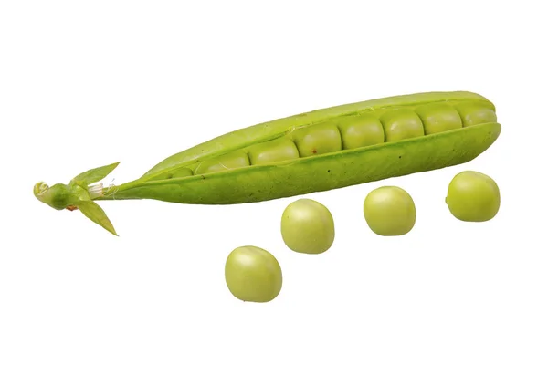 Green pea (Pisum sativum) on a white background — Stock Photo, Image