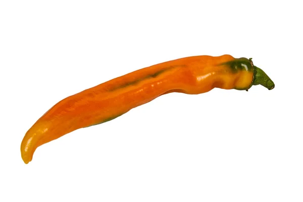 Orange paprika on a white background — Stock Photo, Image