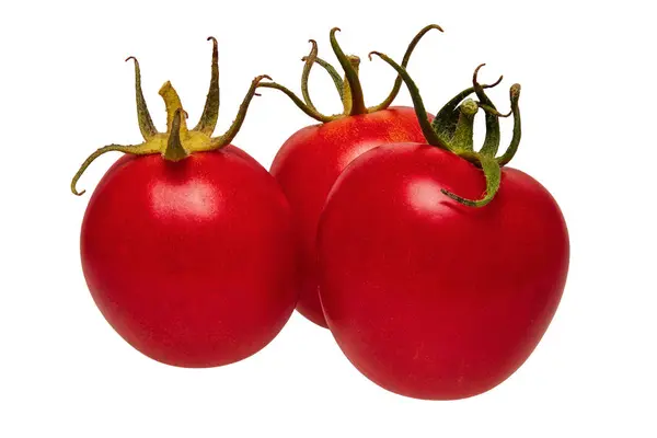 西红柿在白色背景上的组 — 图库照片