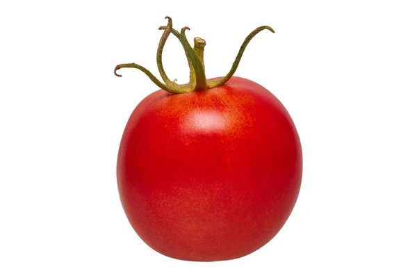 Tomate fraîche sur fond blanc — Photo
