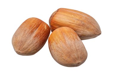 Grup beyaz zemin üzerine fındık