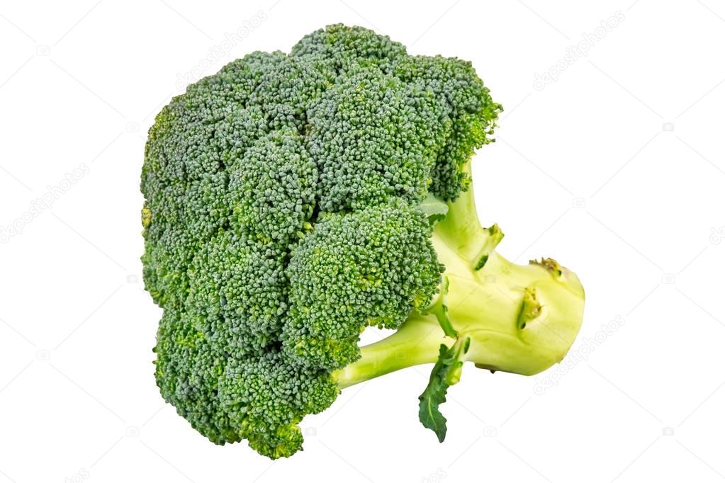 Fresh broccoli on a white background