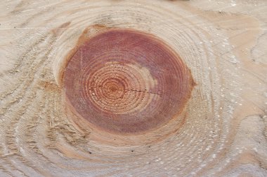 Düğüm arka plan dokusu ile ahşap tahta