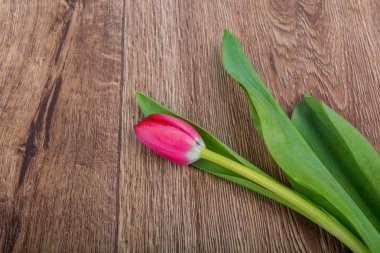 Ahşap bir masa üzerinde kırmızı lale