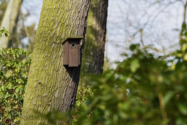 Cabine de pássaro pendurado em uma árvore. Casa para pássaros — Fotografia de Stock