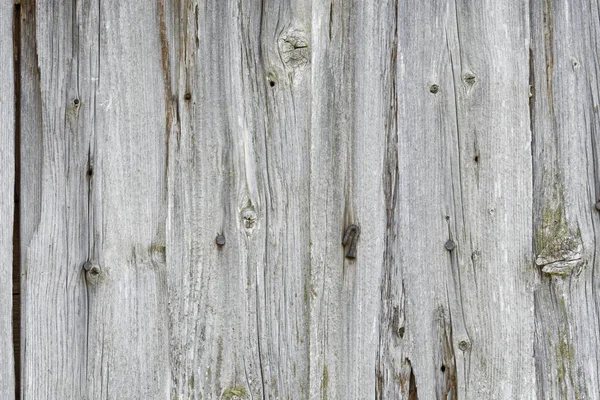 Grunge madera patrón textura fondo — Foto de Stock