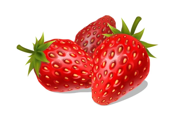 白色背景的草莓 — 图库矢量图片