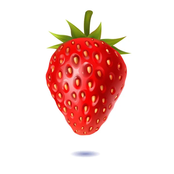 Juicy strawberries on a white background — Stock Vector