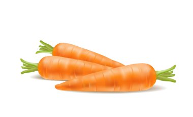 Beyaz arka plan üzerinde taze havuç çizimi