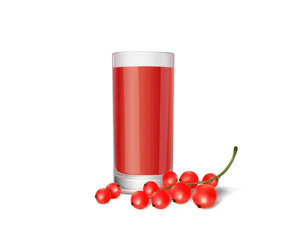 Jus de groseille rouge dans le verre — Image vectorielle