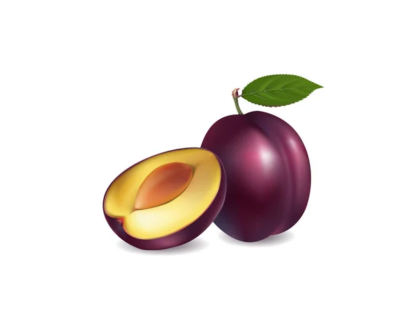 Illustration of a plum on white background — Stock Vector