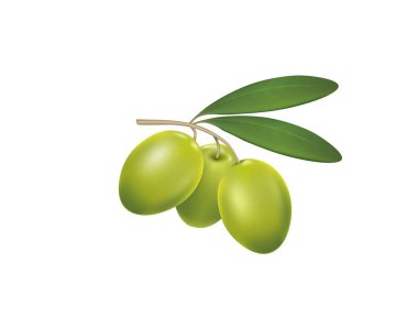 Beyaz arkaplanda yeşil zeytin