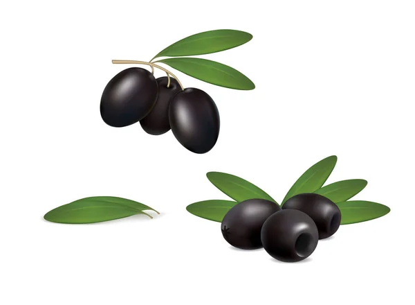 Impostare olive nere su sfondo bianco — Vettoriale Stock