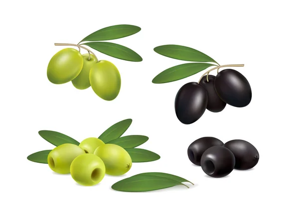 Mettre les olives sur fond blanc — Image vectorielle