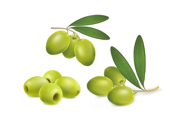 Set van groene olijven op witte achtergrond — Stockvector
