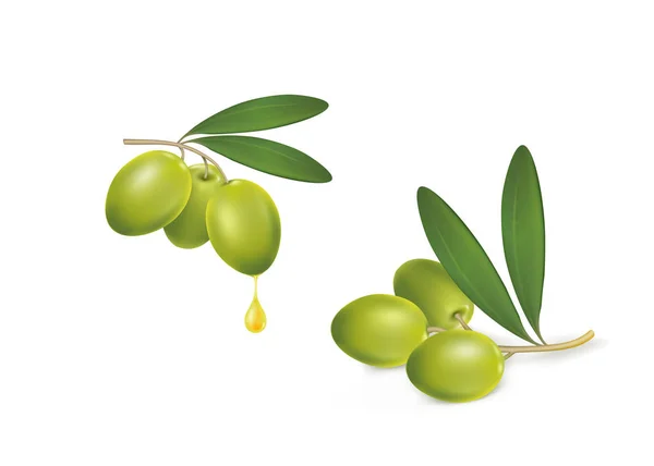 Набор зеленых оливок на белом фоне — стоковый вектор