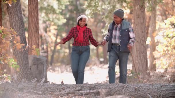 Senior couple noir randonnée dans une forêt — Video