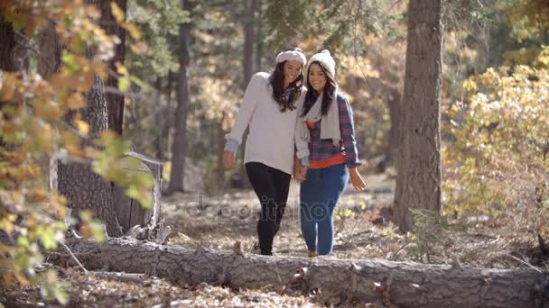Lesbian couple enjoy a walk — Stock Video