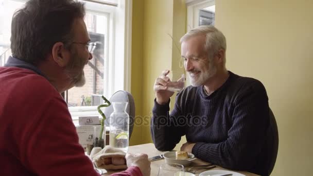 Romántico macho gay pareja — Vídeos de Stock