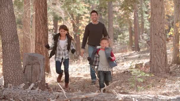 Niños corriendo por delante de papá en el bosque — Vídeo de stock