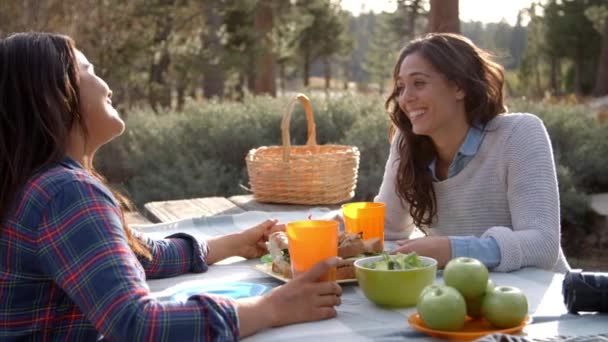 Pareja femenina en el picnic — Vídeos de Stock