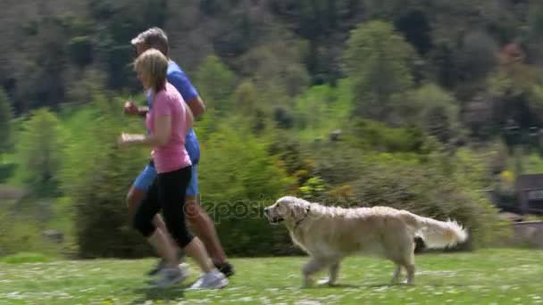 Paar joggt mit Hund im Grünen — Stockvideo