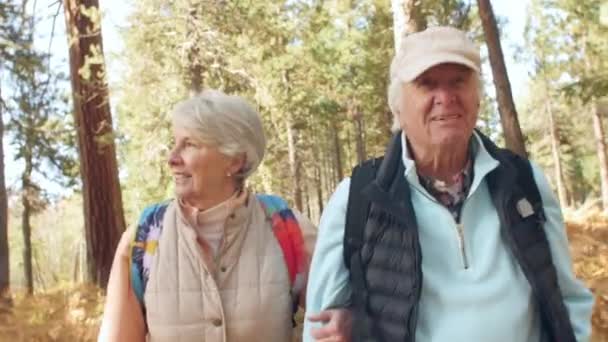 Старша пара гуляє в лісі — стокове відео