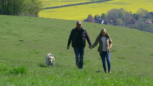 Couple prenant Golden Retriever pour la marche — Video