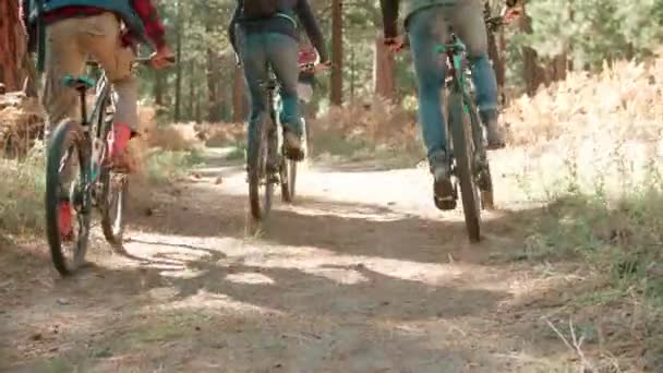 Amigos pedalando em uma floresta — Vídeo de Stock