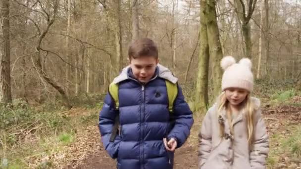 Twee kinderen lopen in bos — Stockvideo