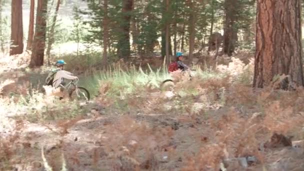 Padres y dos niños en bicicleta en el bosque — Vídeo de stock