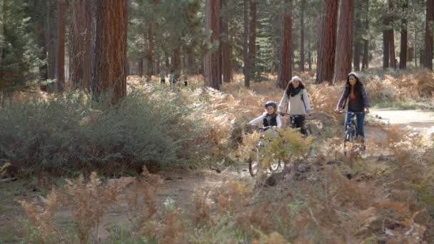 Lesbian couple cycling with daughter — Stock Video