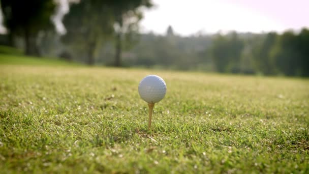 Golfista uderzanie Tee — Wideo stockowe